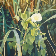 Reed_mace_and_bindweed_at_the_edge_card