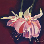 Bright_fuscia_card