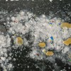 Seafoam_rainbowbubbles_thumb