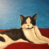Momo_the_cat_thumb