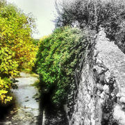 Photo0070_card