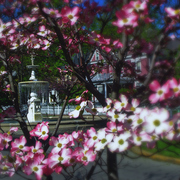 Fountain_pink_house_2006zz_card