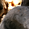 Img_3037_thumb
