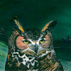 Great_horned_owl_thumb