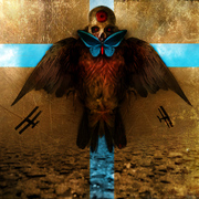 Bird_of_war_card