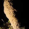 Hjw_5789_thumb