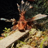 Hjw_5802_thumb