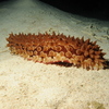 Hjw_5814_thumb