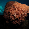 Hjw_5890_thumb