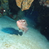Hjw_5953_thumb