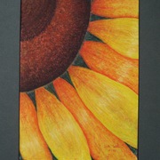 2010_014_card
