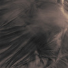 Ghostsofyork3_thumb