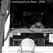 Sunnyslumber-img_0036-post_card