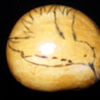 Gourd_humming_thumb