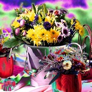 Untilited_flowers_card