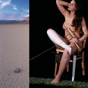 Dianaw_stecomp_card