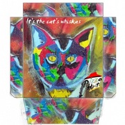 Pizzaboxcat-copy2_card