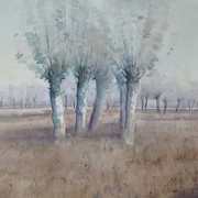 Gelsi_acquerello_50x60_card