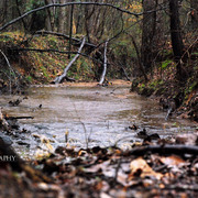 Dsc_5098_copy_card
