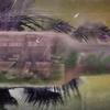 Sea_in_the_bottle_thumb