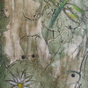Dragonfly3_thumb