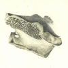 K_p_166_thumb