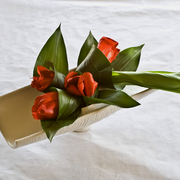 _mg_1569_card