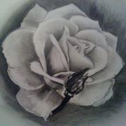 Flo_card
