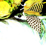 Flying_fish_card