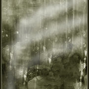Parallel_universe_card