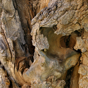 Img_3022_card