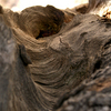 Img_3040_thumb