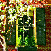 Windowblack_sponge_card
