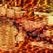 Heatwave_3_card