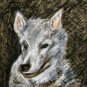 Lea_card