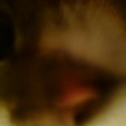 Dsc00349_card