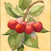 Cherries_web_card