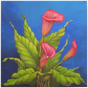 Redcallalillies_001_card