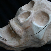 Copy_of_skull_022_card