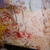 Dsc00726_tiny_square