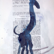036_card