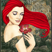 Morning_glory_card