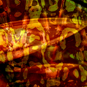 Garden_3_card