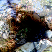 Garden_cave_card