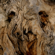 Img_3031_card
