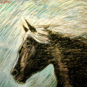 Flasch_horse_cm_55x70_card