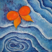 Letokruhy_i_card