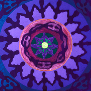 Stttts_card