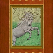 Hom_card