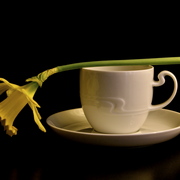 _dsc2100_card